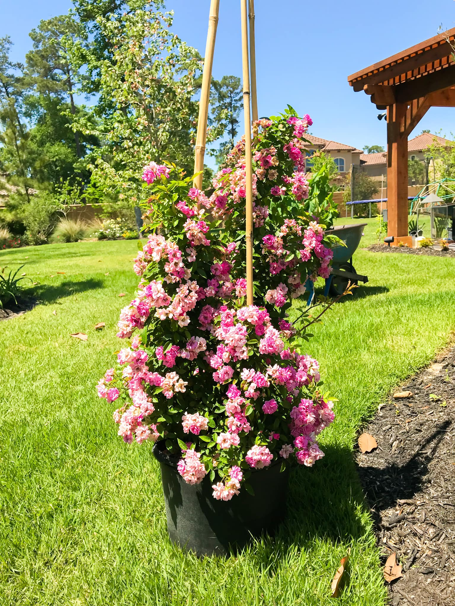 Drainage project in Spring